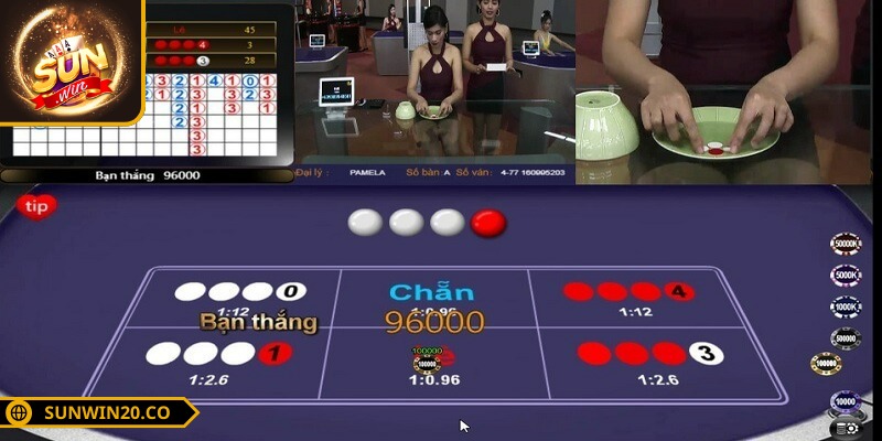 Xóc đĩa thuộc top game live casino SUNWIN chơi dễ thắng